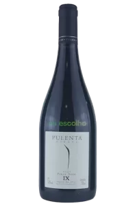 Pulenta Estate IX Pinot Noir 2022