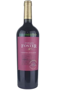 Enrique Foster Single Vineyard Los Altepes Cabernet Sauvignon 2018