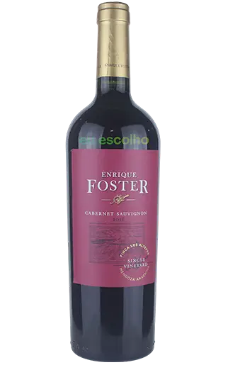 Enrique Foster Single Vineyard Los Altepes Cabernet Sauvignon 2018