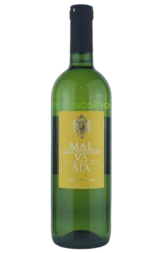 Malvasia Colli Piacentini Doc