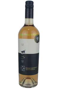 Perro Callejero Rose 2024